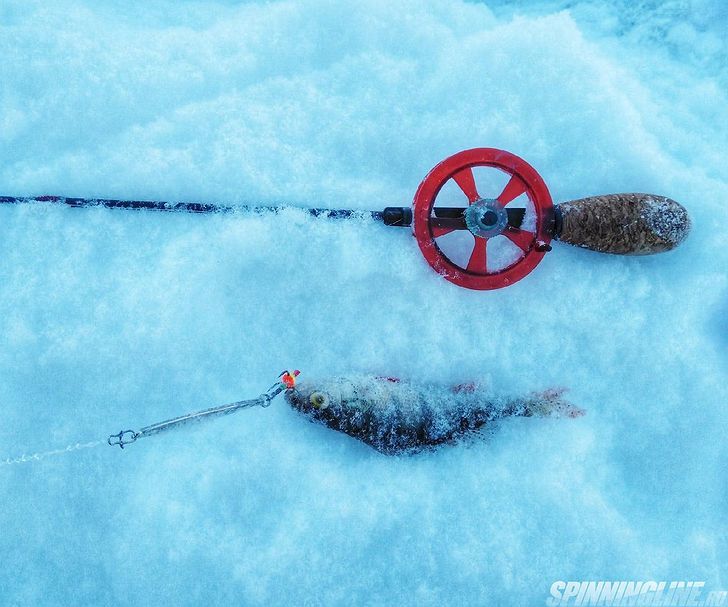 Изображение 4 : Eco Pro Detonator: зимняя блесна "гвоздик"