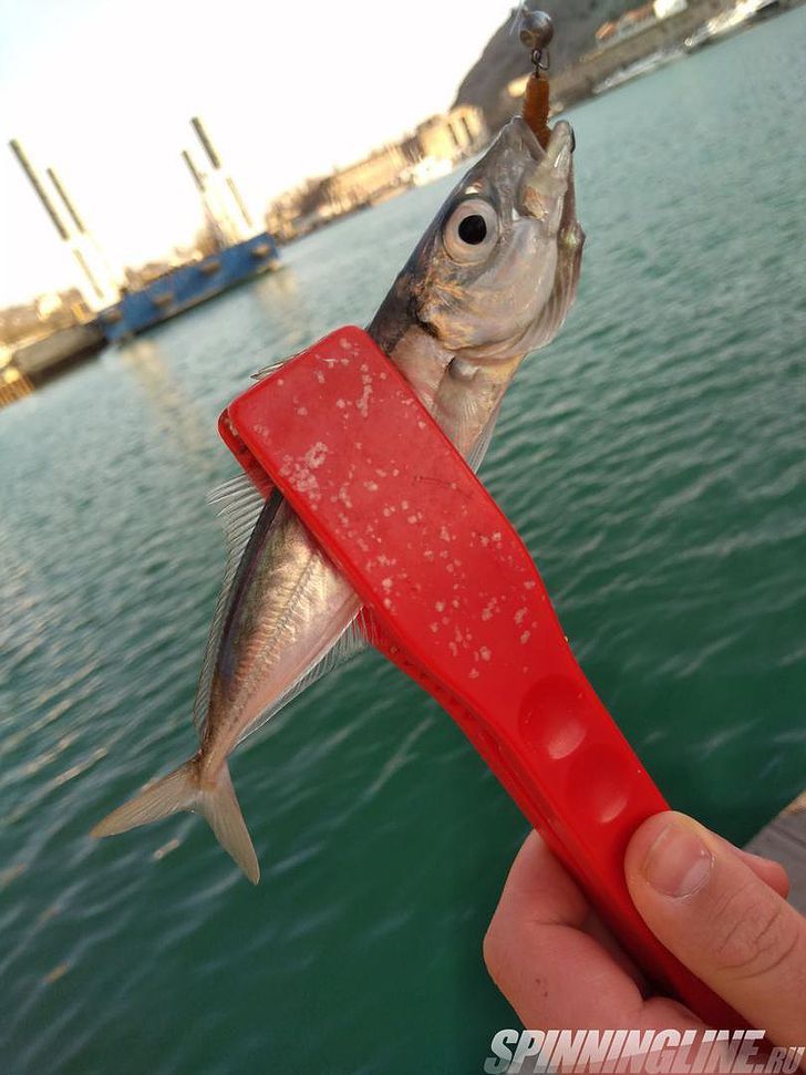 Силиконовая приманка для рыбной ловли HitFish Solites 2,5