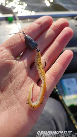 Изображение 1 : Обзор интересного червя-твистера: Scorpio SB2502