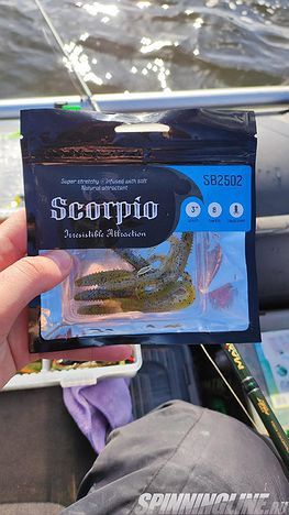 Изображение 2 : Обзор интересного червя-твистера: Scorpio SB2502